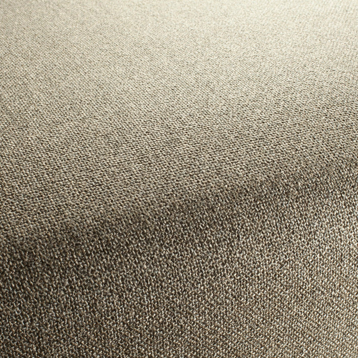 Chivasso Bonsai Reboot 076 Fabric Sample CH2955/076