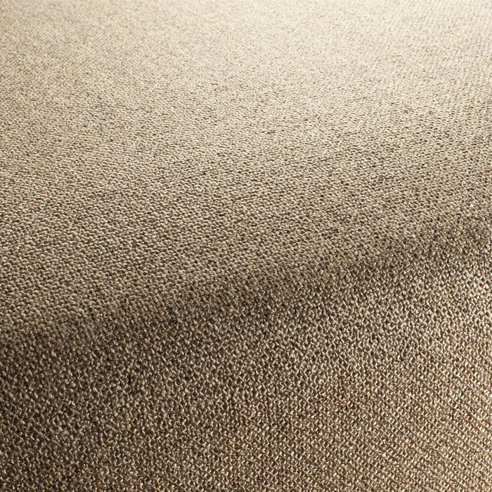 Chivasso Bonsai Reboot 077 Fabric CH2955/077
