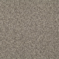 Chivasso Bonsai Reboot 079 Fabric CH2955/079