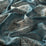 Chivasso White Cocoon 050 Fabric CH2981/050