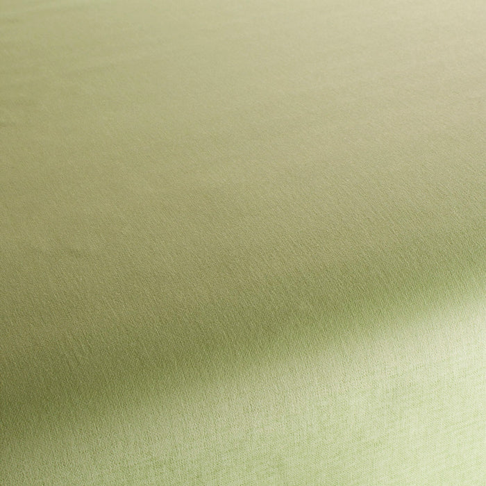 Chivasso Nineteen-94 031 Fabric Sample CH3002/031