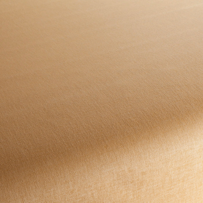 Chivasso Nineteen-94 041 Fabric Sample CH3002/041