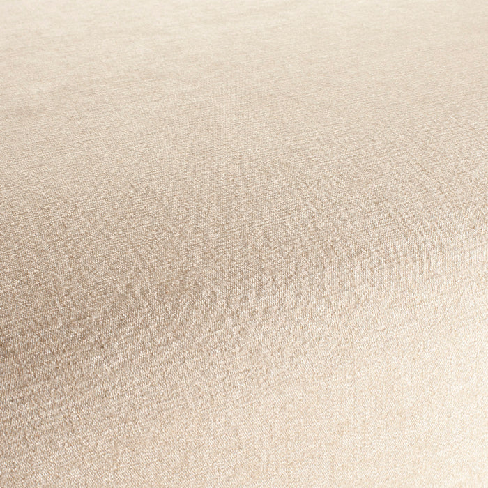 Chivasso Superior 070 Fabric CH3024/070