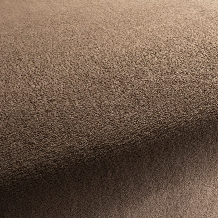 Chivasso The Touch 020 Fabric CH3054/020