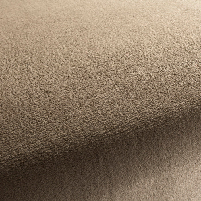 Chivasso The Touch 021 Fabric Sample CH3054/021