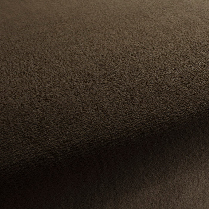 Chivasso The Touch 022 Fabric Sample CH3054/022