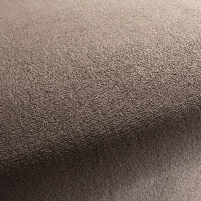Chivasso The Touch 023 Fabric Sample CH3054/023