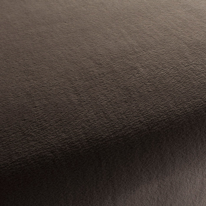 Chivasso The Touch 024 Fabric Sample CH3054/024