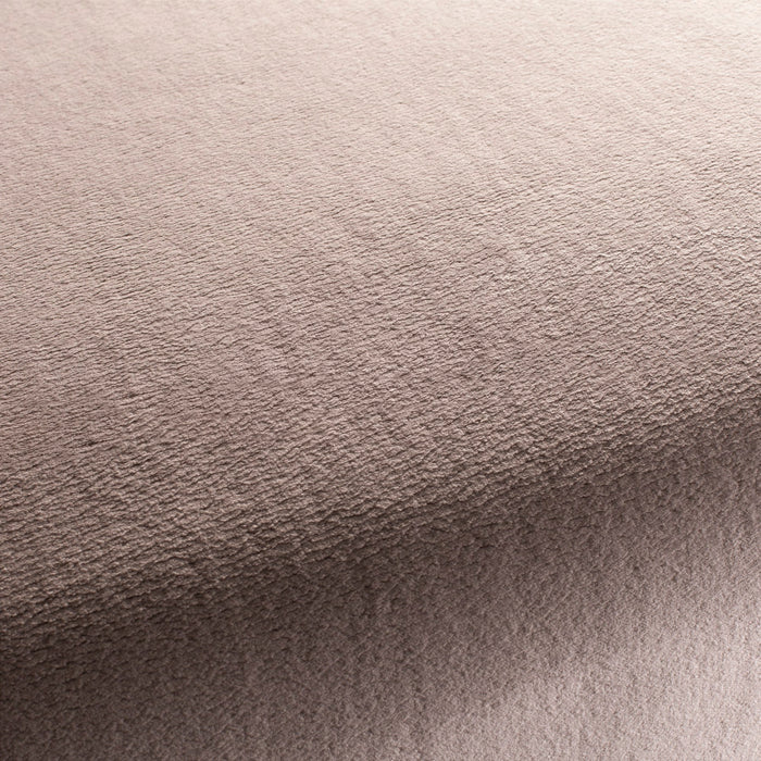 Chivasso The Touch 060 Fabric CH3054/060
