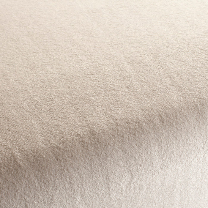 Chivasso The Touch 070 Fabric CH3054/070