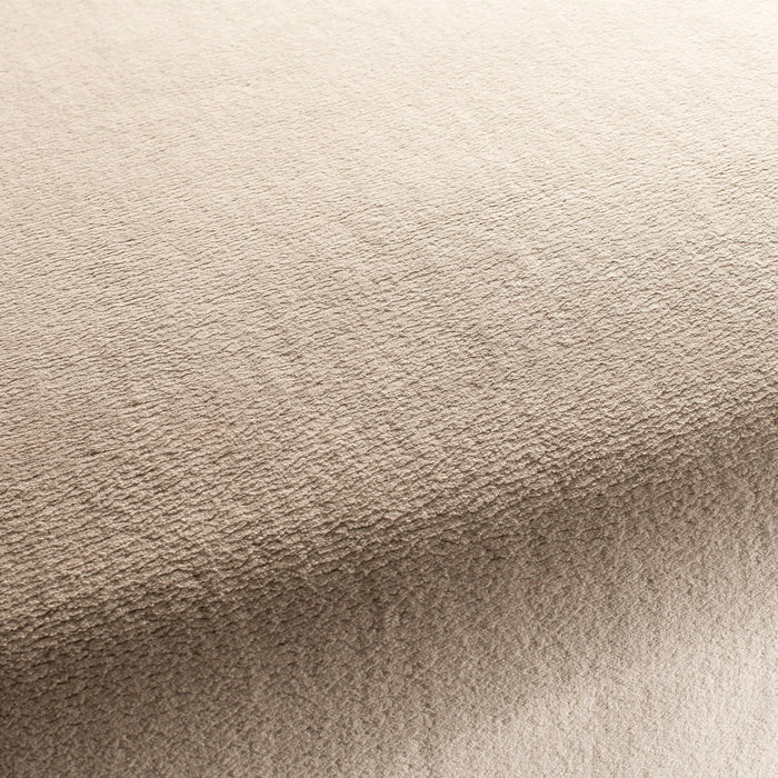 Chivasso The Touch 071 Fabric Sample CH3054/071