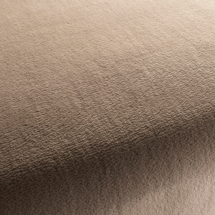 Chivasso The Touch 072 Fabric CH3054/072