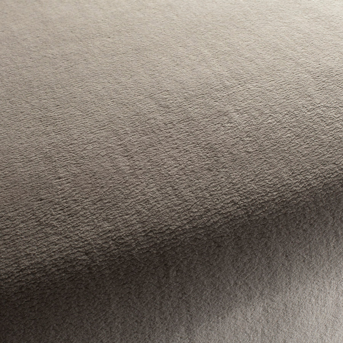Chivasso The Touch 073 CH3054/073 Sample | 40% Off (Samples)