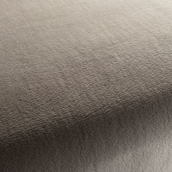 Chivasso The Touch 073 Fabric Sample CH3054/073