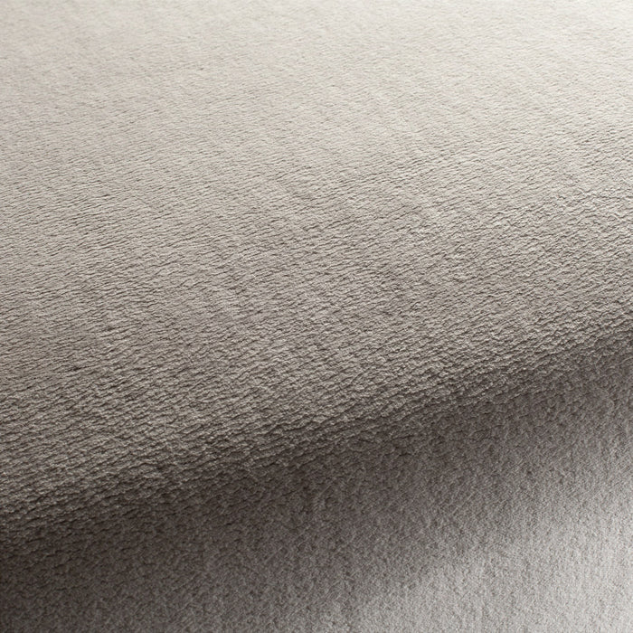 Chivasso The Touch 091 Fabric Sample CH3054/091