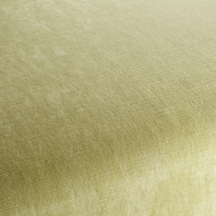 Chivasso Be Mine 032 Fabric CH3056/032