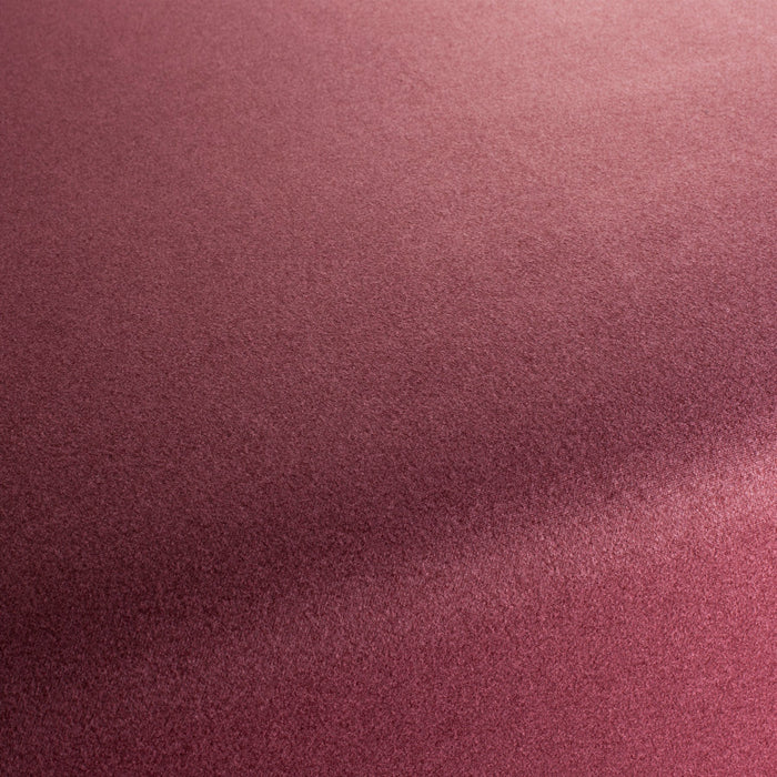 Chivasso Celebration 011 Fabric CH3065/011