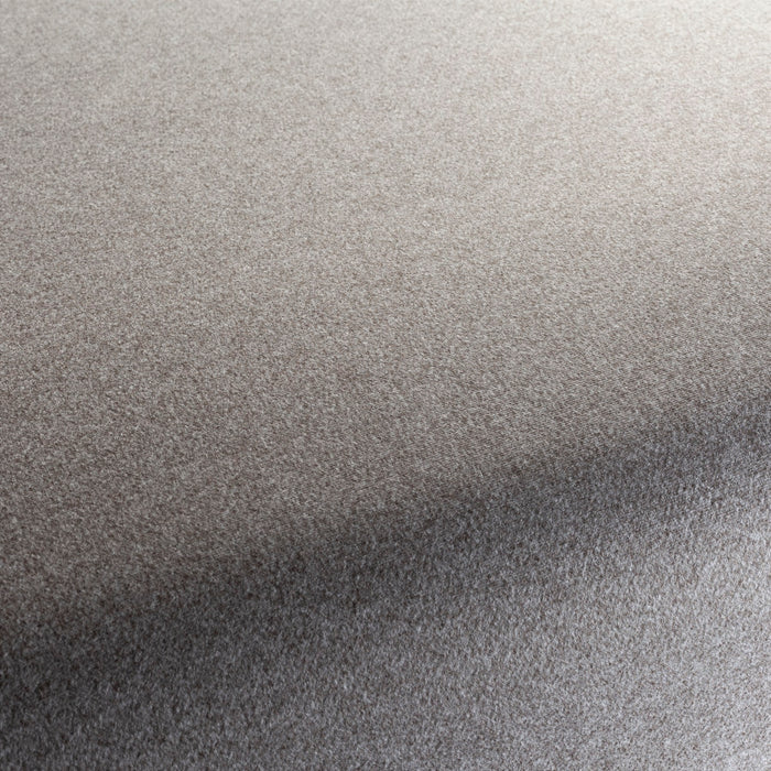 Chivasso Celebration 024 Fabric CH3065/024