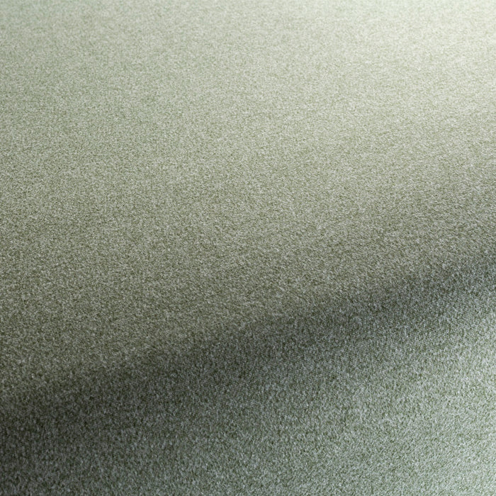 Chivasso Celebration 034 Fabric Sample CH3065/034