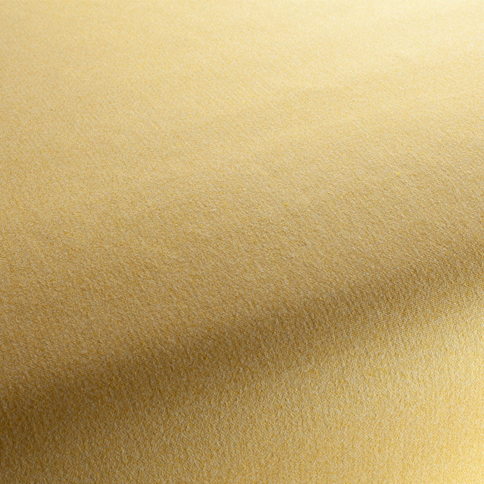 Chivasso Celebration 040 Fabric Sample CH3065/040