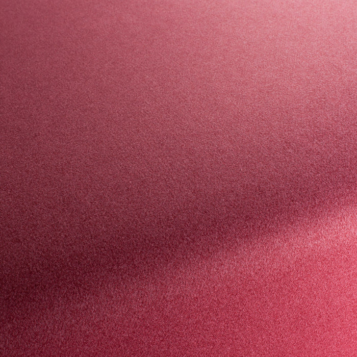 Chivasso Celebration 063 Fabric Sample CH3065/063