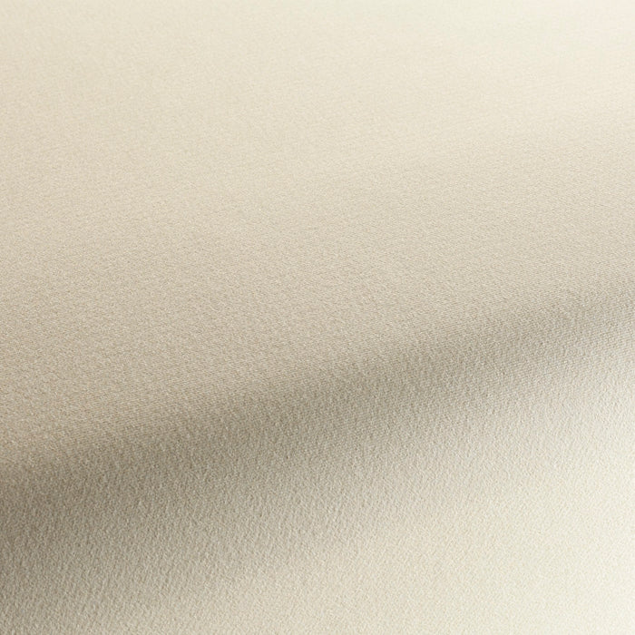 Chivasso Celebration 071 Fabric Sample CH3065/071