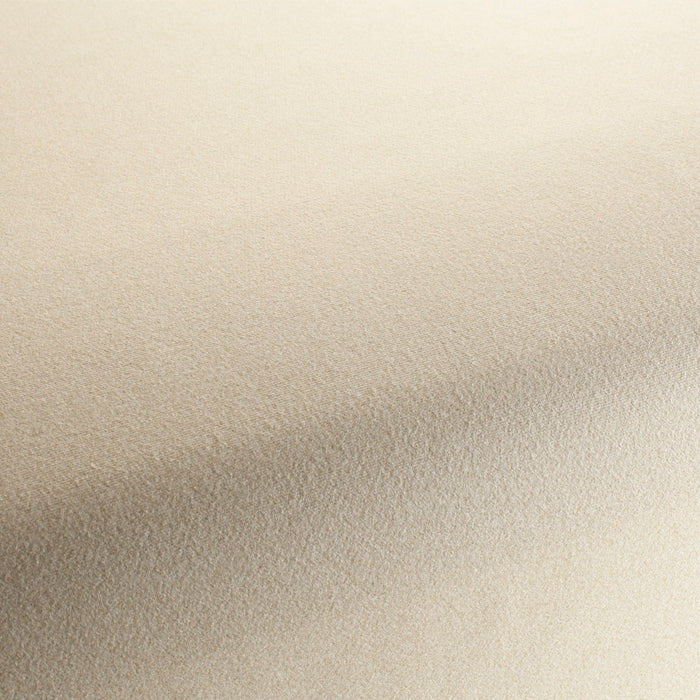Chivasso Celebration 072 Fabric CH3065/072
