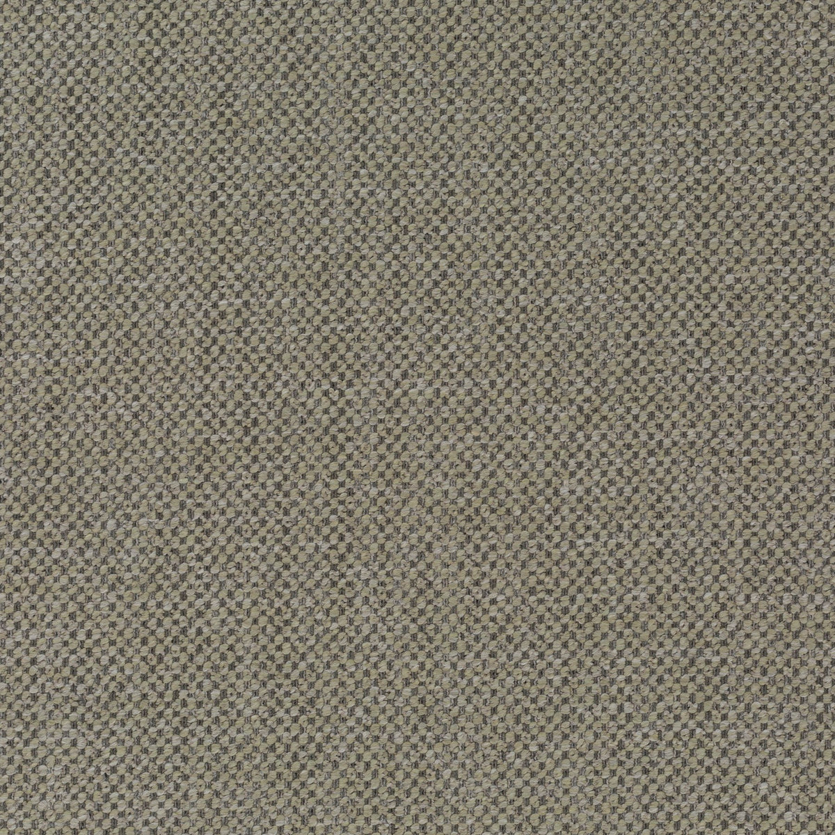 Chivasso Feel Free 022 CH3067/022 Sample | 40% Off (Samples)