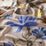 Chivasso Curious Garden 050 Fabric Sample CH3078/050