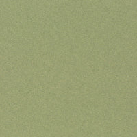 Chivasso Principle 030 Fabric CH3081/030