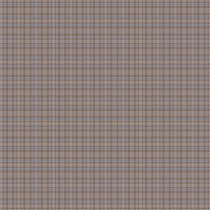 Chivasso Paramount 050 Fabric Sample CH3082/050