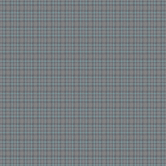 Chivasso Paramount 080 Fabric Sample CH3082/080