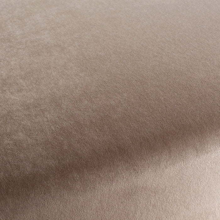 Chivasso President 021 Fabric CH3085/021