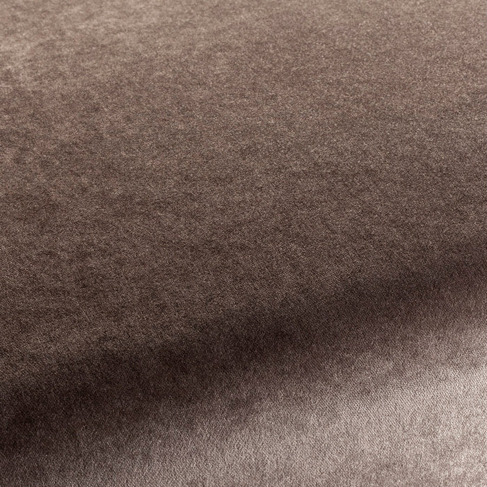 Chivasso President 022 Fabric Sample CH3085/022