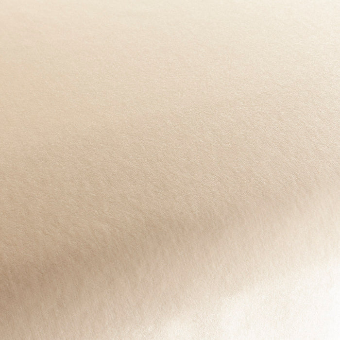 Chivasso President 070 Fabric Sample CH3085/070