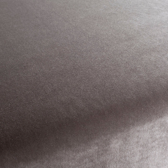 Chivasso President 095 Fabric Sample CH3085/095