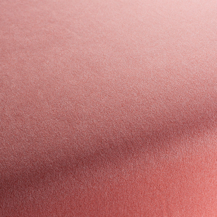 Chivasso Shallow 010 Fabric CH3090/010