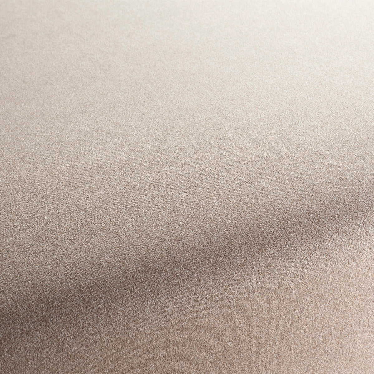 Chivasso Shallow 020 CH3090/020 Sample | 40% Off (Samples)