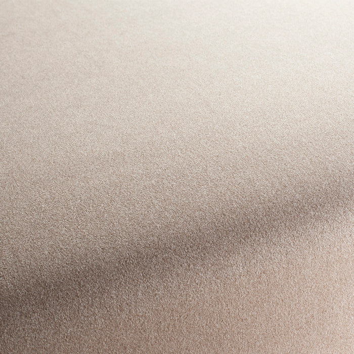 Chivasso Shallow 020 Fabric Sample CH3090/020