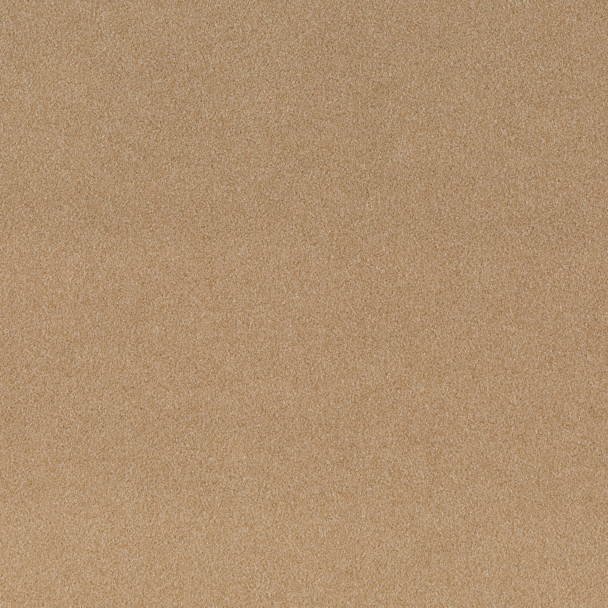 Chivasso Shallow 021 CH3090/021 Sample | 40% Off (Samples)