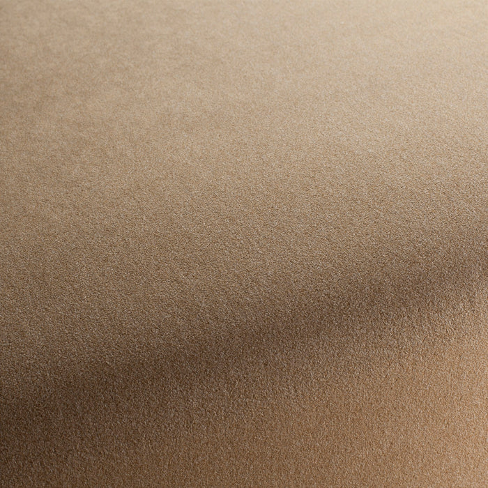 Chivasso Shallow 021 Fabric Sample CH3090/021