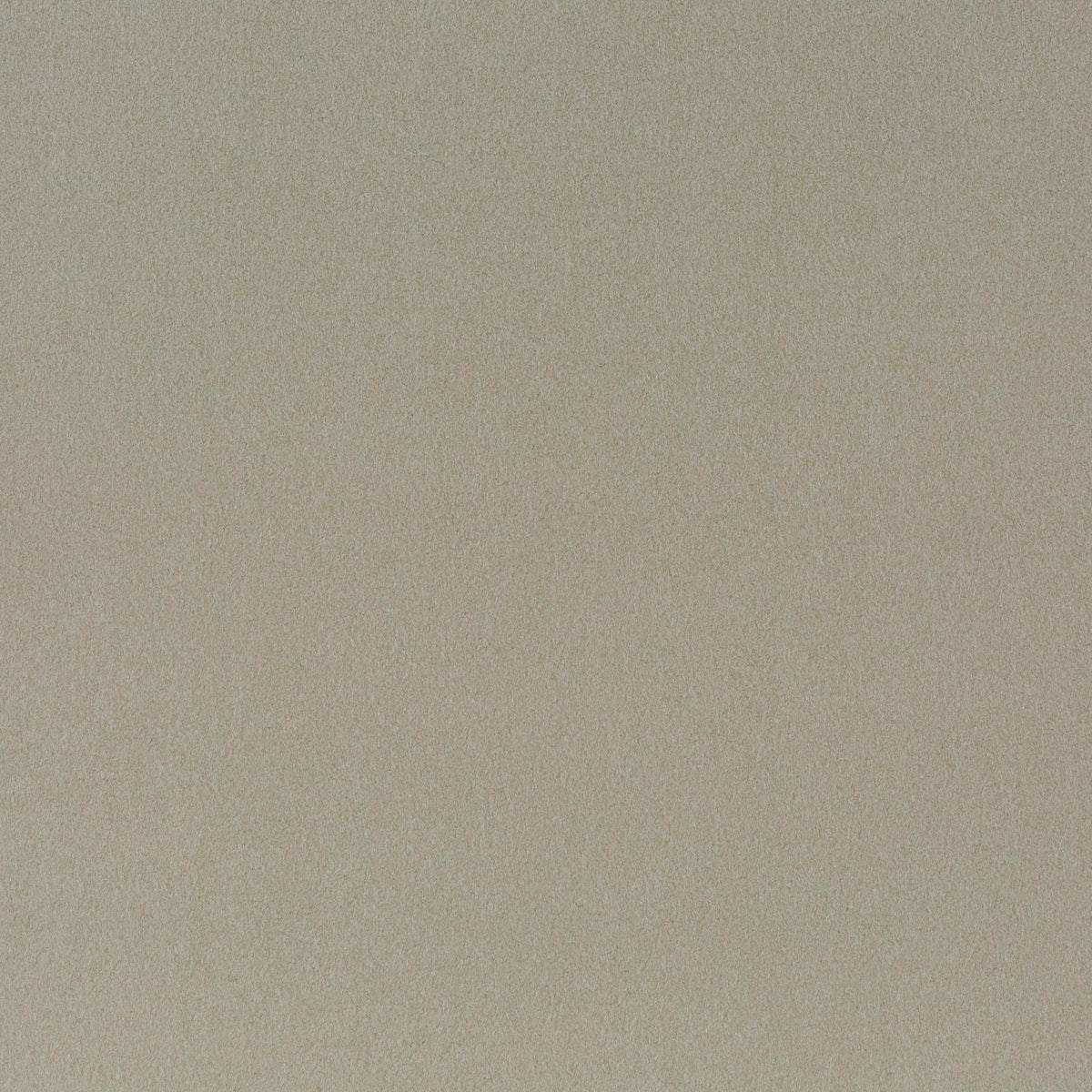 Shallow Cloth Chivasso Shallow 022 CH3090/022 Fabric | 40% Off (Samples)