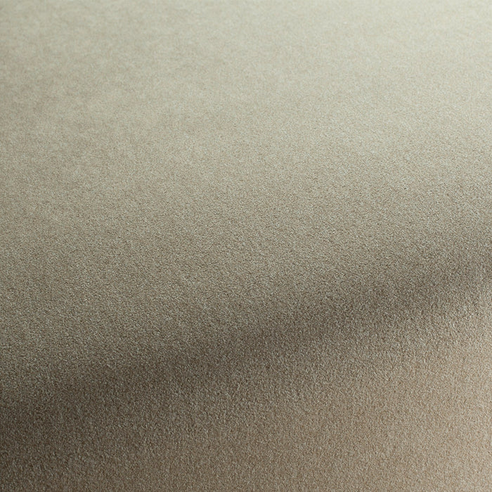 Chivasso Shallow 022 Fabric CH3090/022