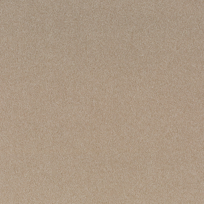 Chivasso Shallow 023 Fabric CH3090/023