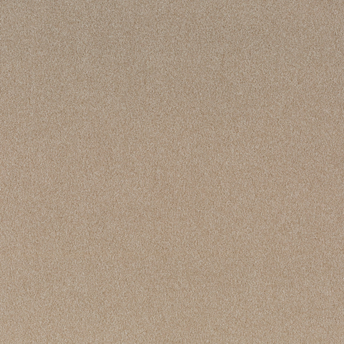 Chivasso Shallow 023 CH3090/023 Sample | 40% Off (Samples)