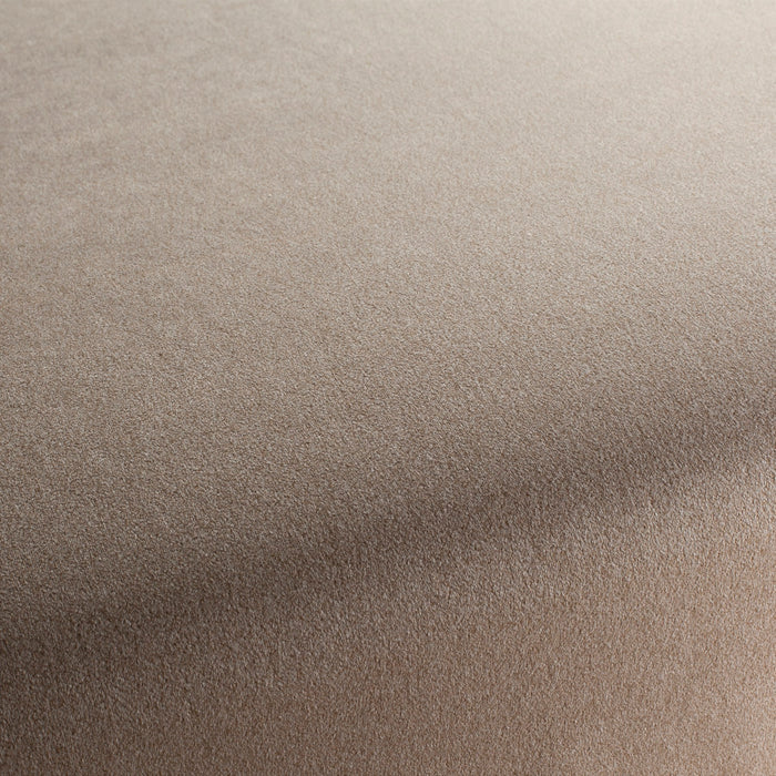 Chivasso Shallow 023 Fabric Sample CH3090/023