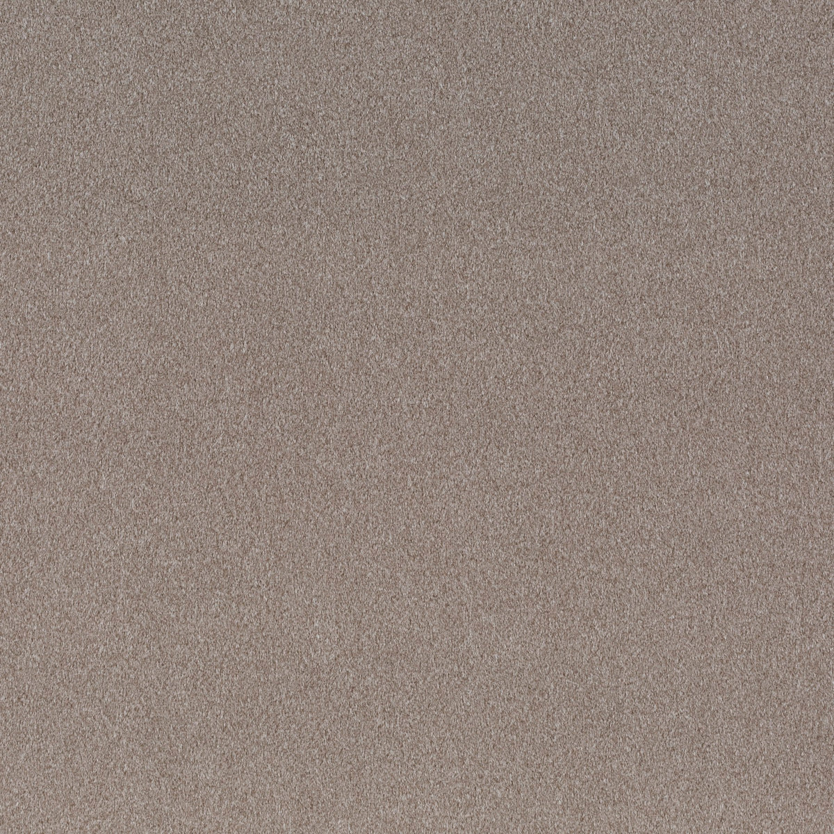 Shallow Cloth Chivasso Shallow 024 CH3090/024 Fabric | 40% Off (Samples)