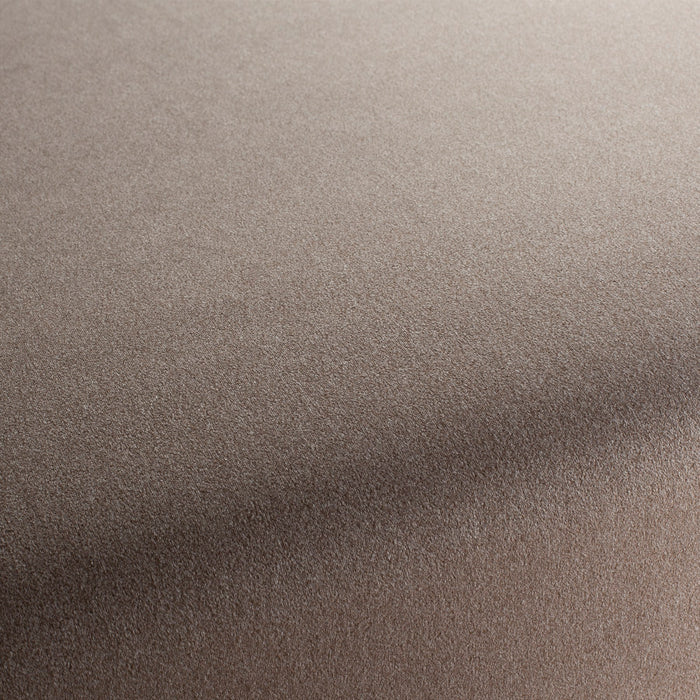 Chivasso Shallow 024 Fabric CH3090/024