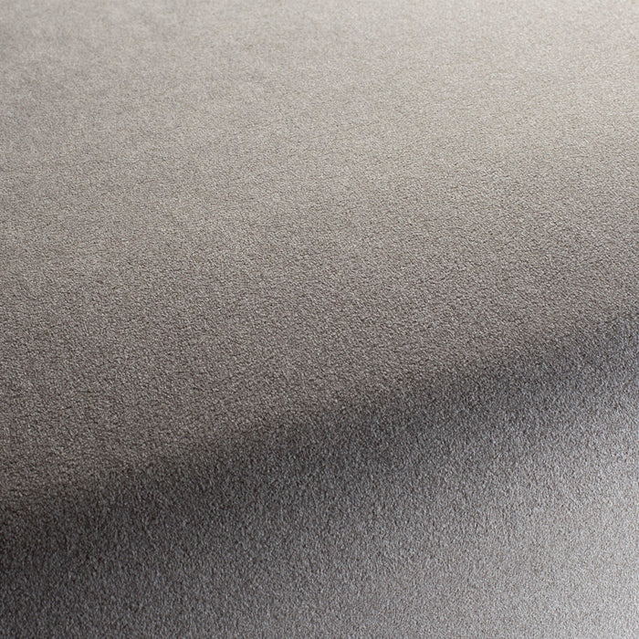 Chivasso Shallow 025 Fabric CH3090/025
