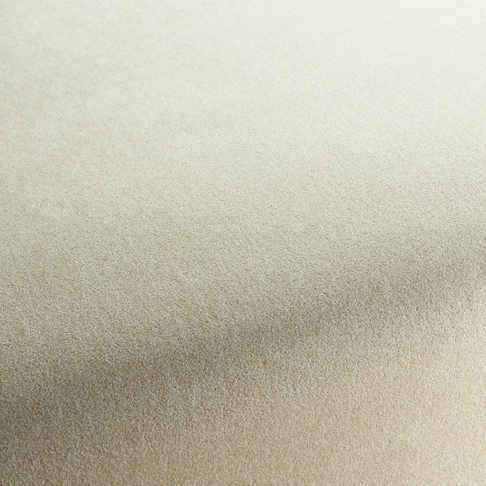 Chivasso Shallow 030 Fabric Sample CH3090/030